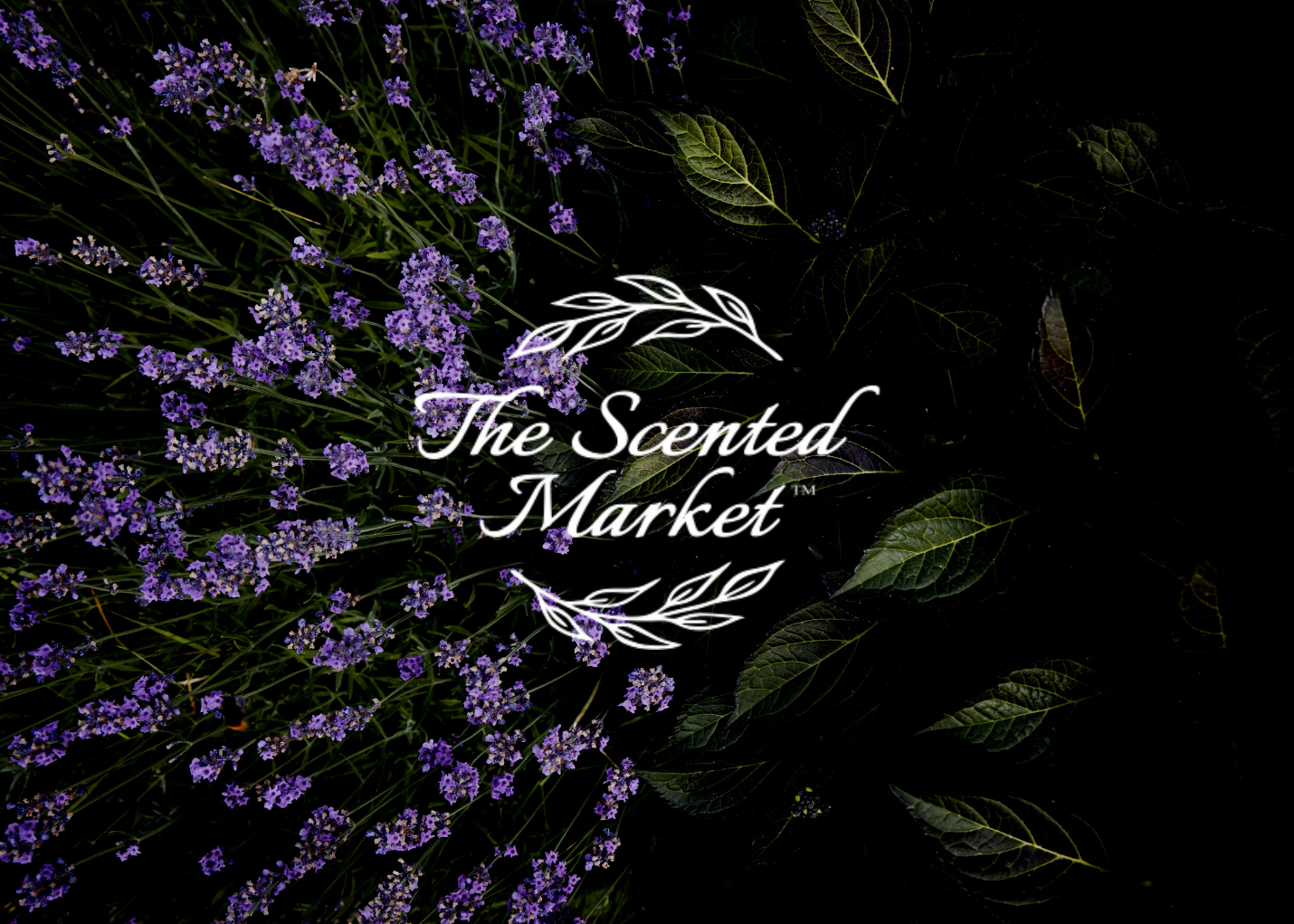 The Scented Market Case Study Twelverays